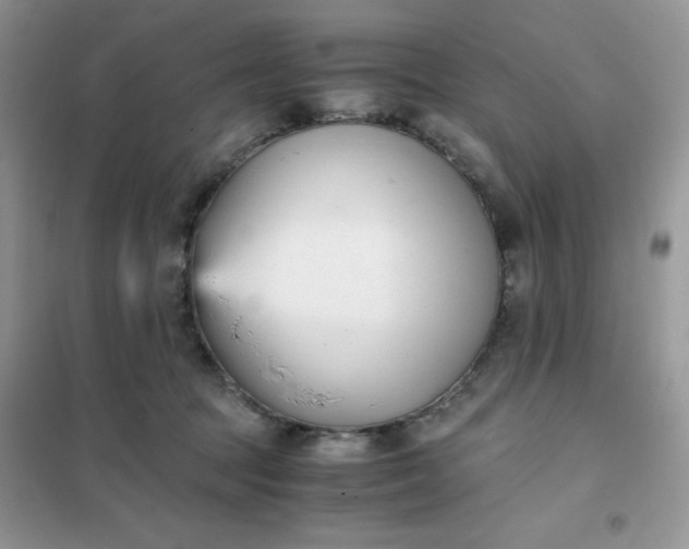 X0000102030369200808011453