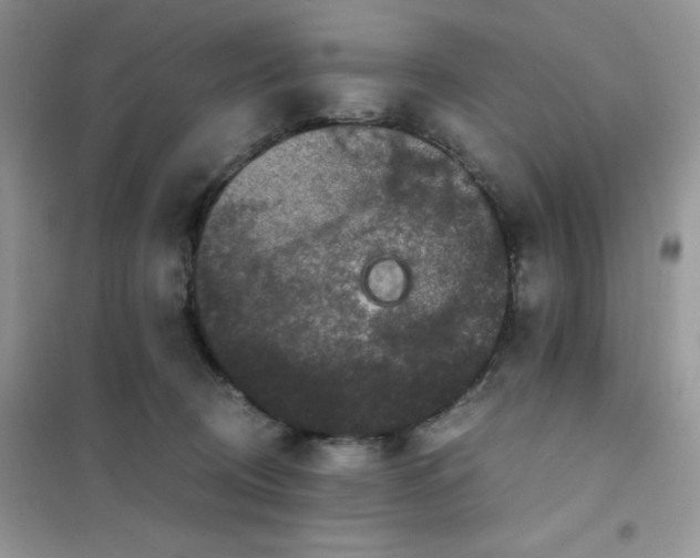 X0000102030370200808011453