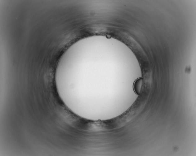 X0000102030372200808011453