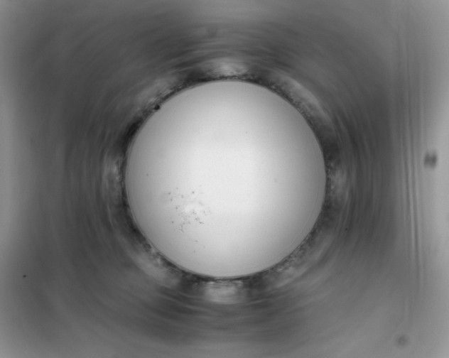 X0000102030373200808011453