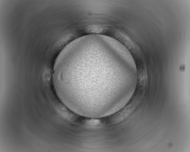 X0000102030374200808011453