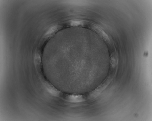 X0000102030375200808011453