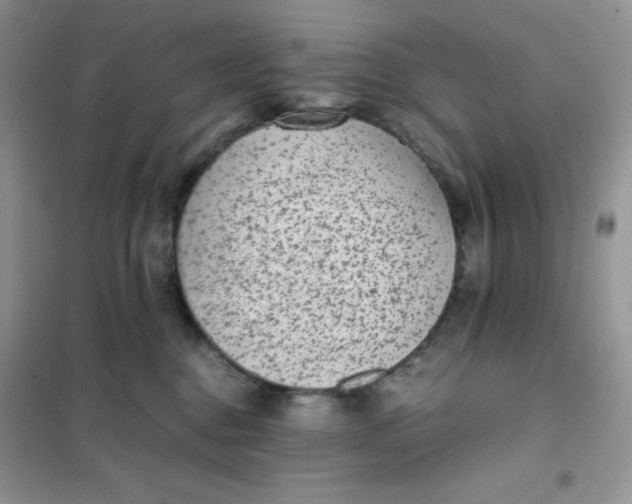 X0000102030376200808011453