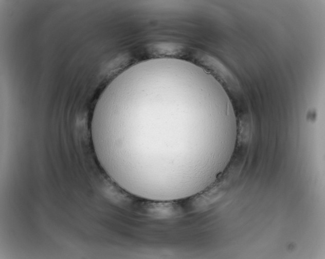 X0000102030377200808011453