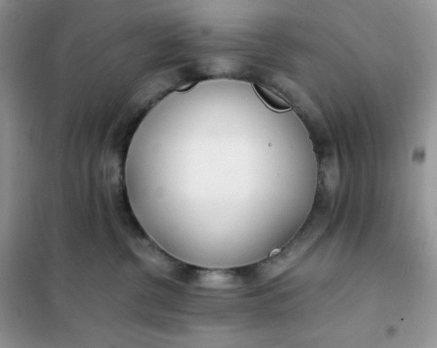 X0000102030380200808011453