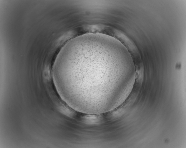 X0000102030381200808011453