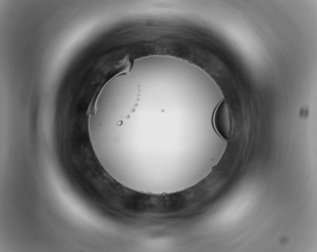 X0000102030383200808011453