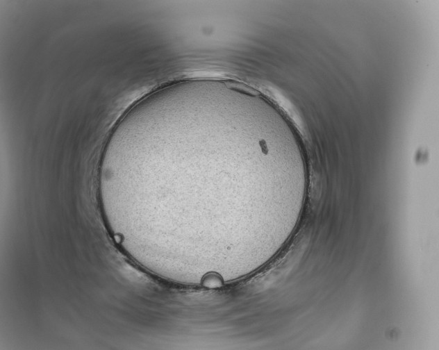 X0000102030385200808011452