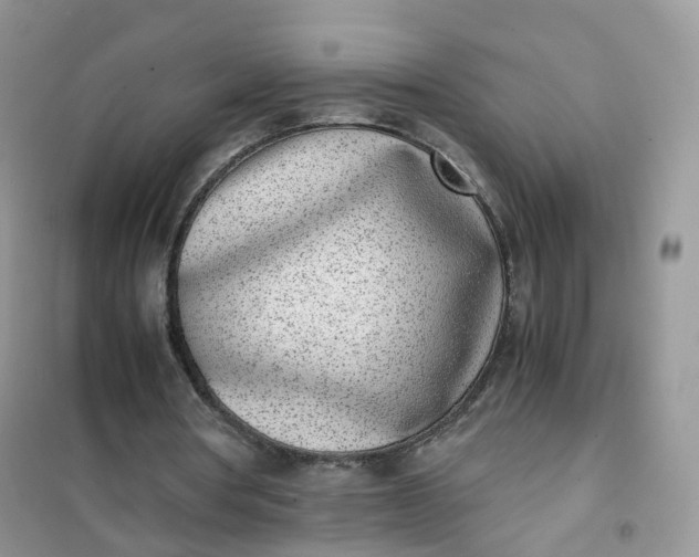 X0000102030386200808011452