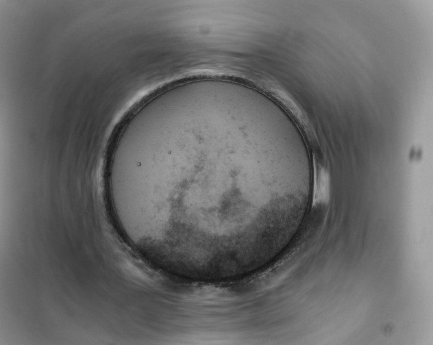 X0000102030387200808011452