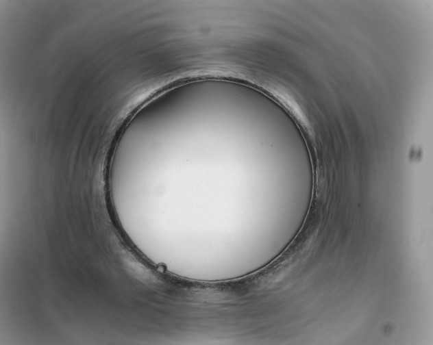 X0000102030389200808011452