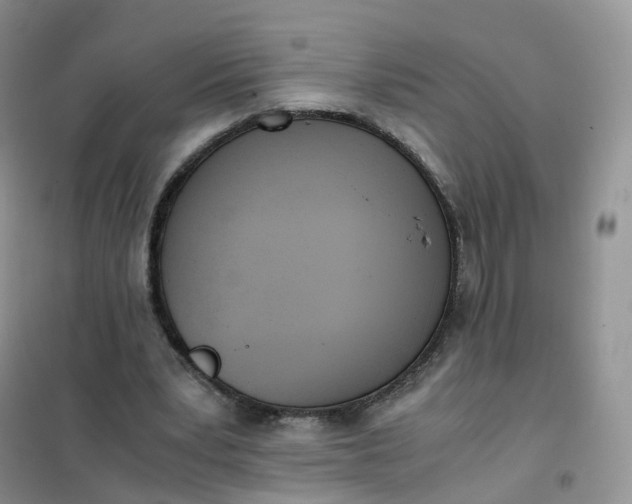 X0000102030391200808011452