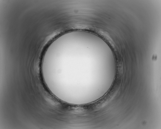 X0000102030395200808011452