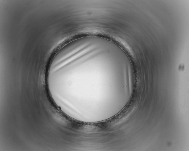 X0000102030399200808011452