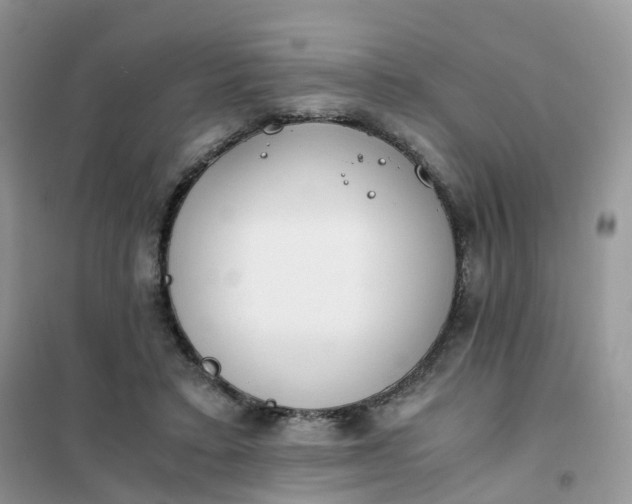 X0000102030403200808011452