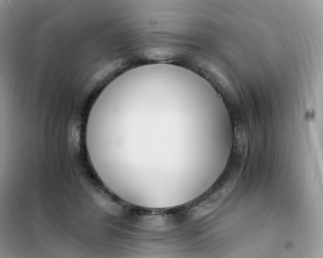 X0000102030404200808011452