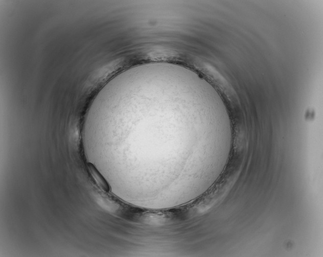 X0000102030405200808011452