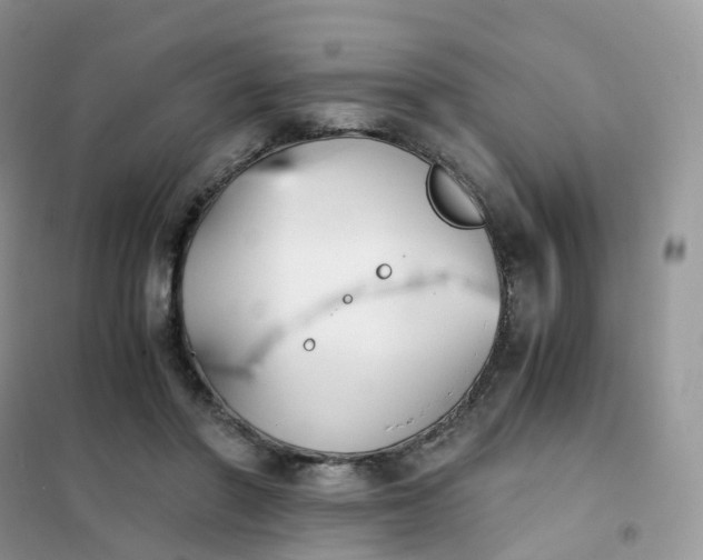 X0000102030406200808011452