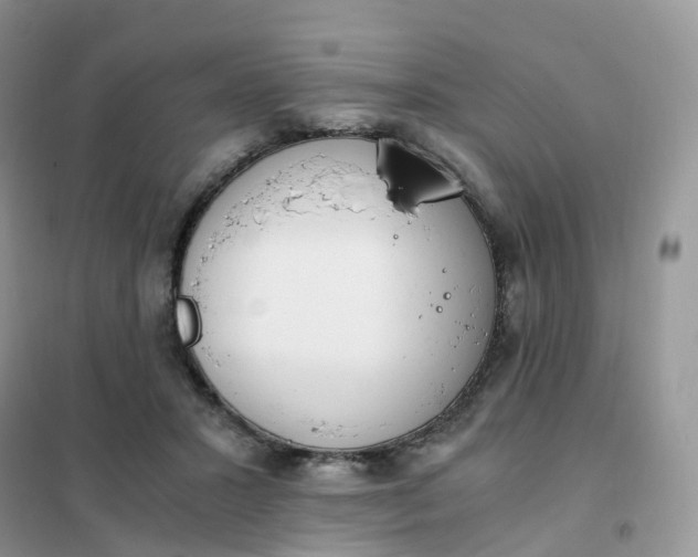 X0000102030407200808011452