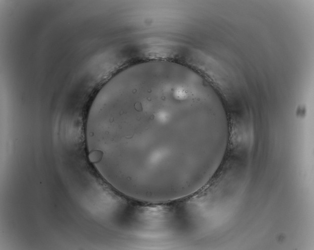 X0000102030411200808011452