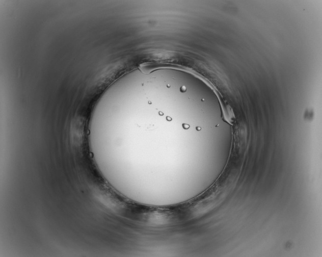 X0000102030412200808011452