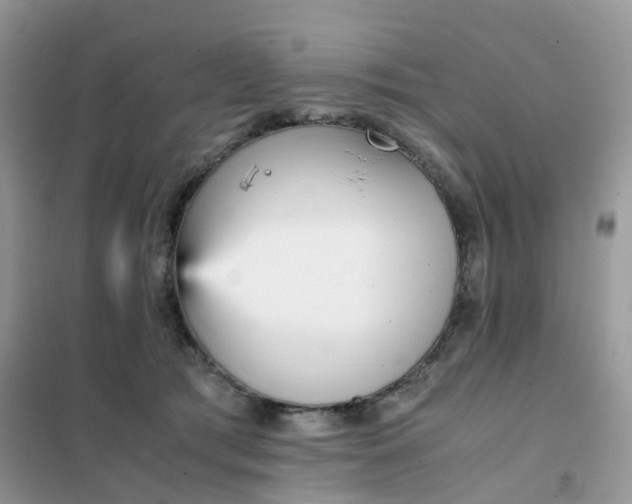 X0000102030417200808011452