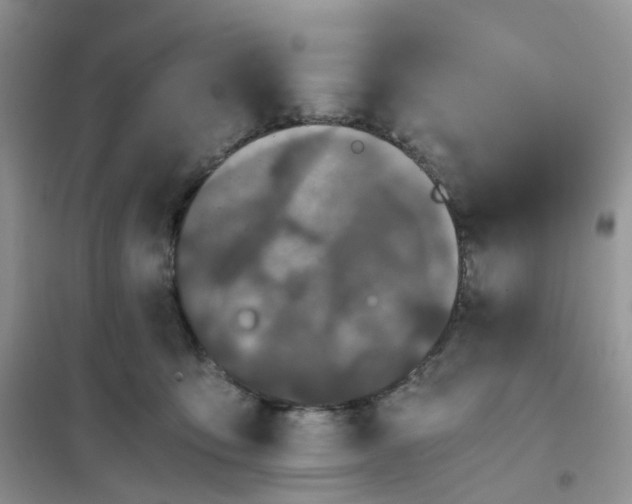 X0000102030419200808011452