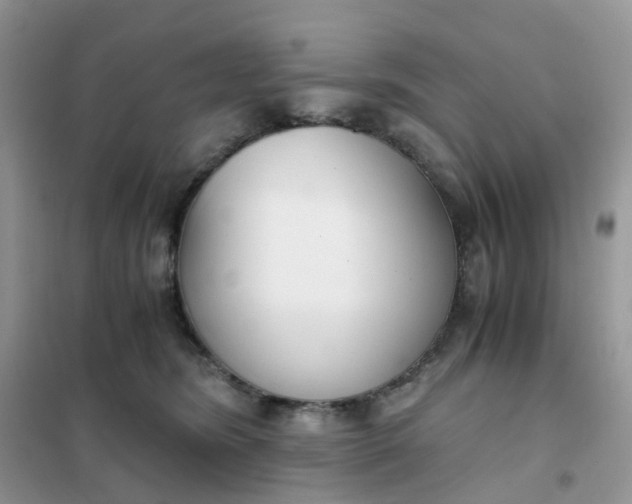 X0000102030420200808011452