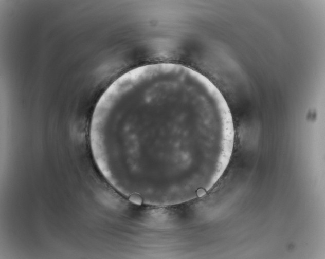 X0000102030423200808011452