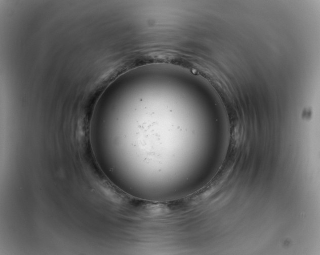 X0000102030424200808011452