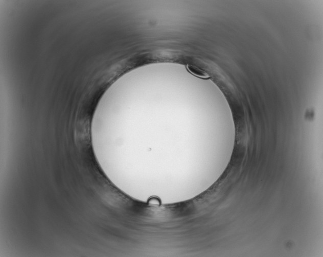 X0000102030425200808011452