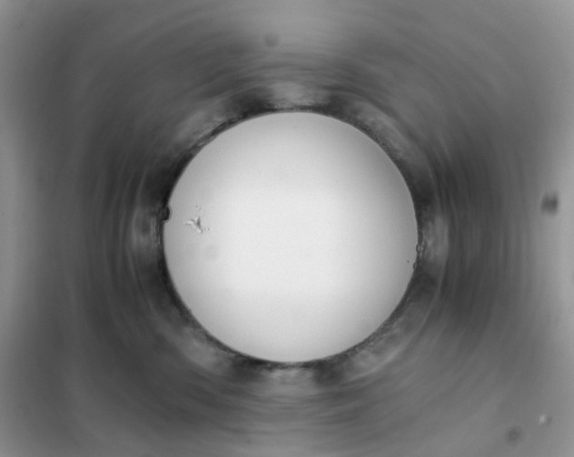 X0000102030426200808011452