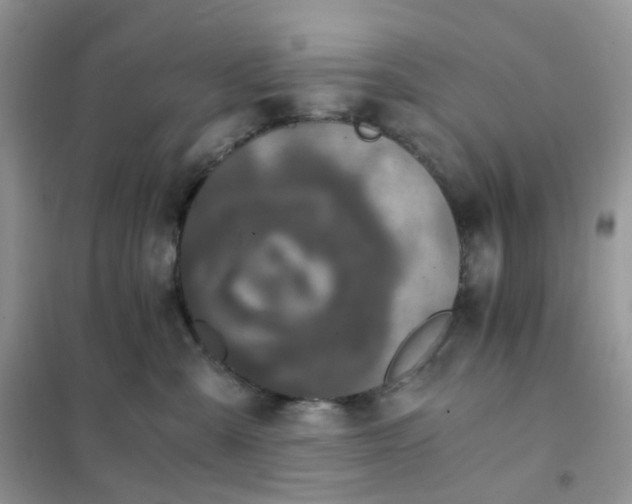 X0000102030427200808011452