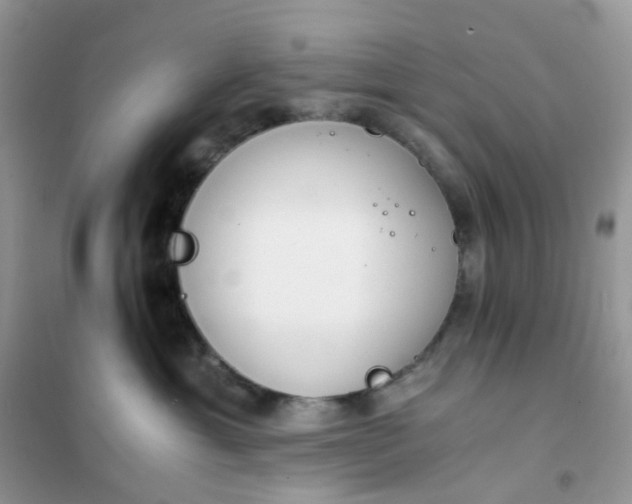 X0000102030429200808011452