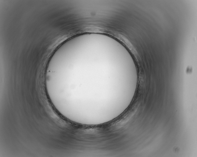 X0000102030433200808011451