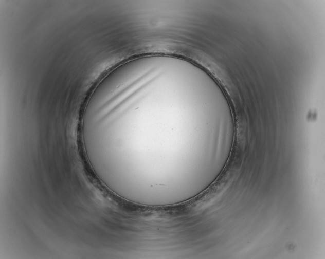 X0000102030434200808011451