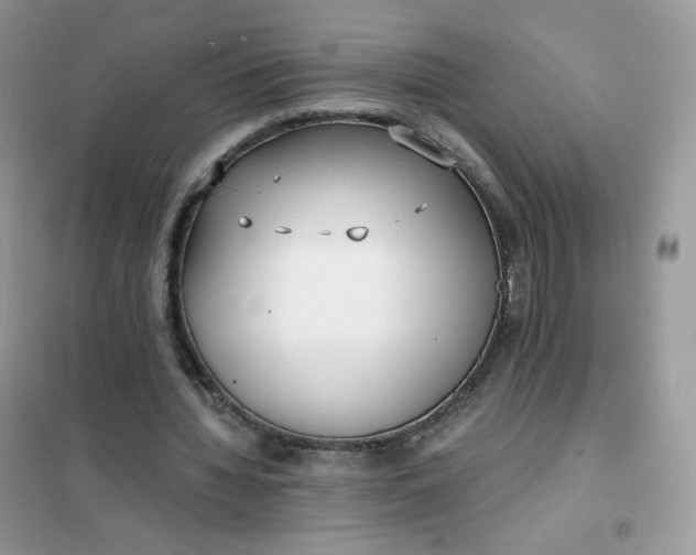 X0000102030436200808011451