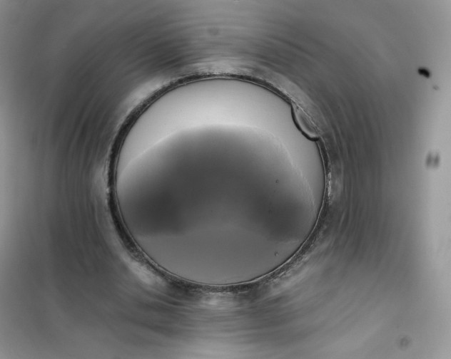 X0000102030438200808011451