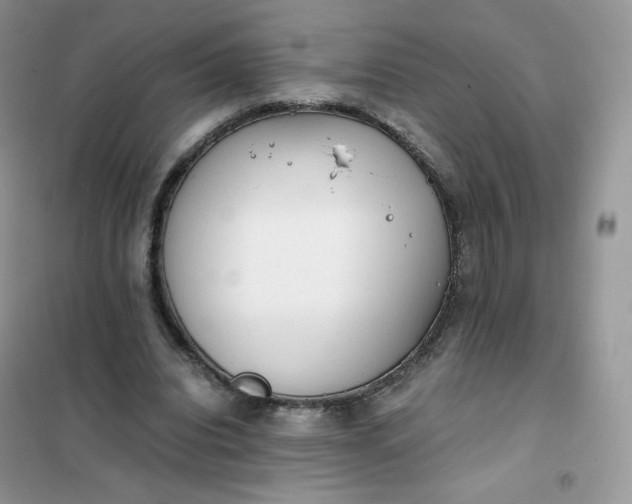 X0000102030440200808011451