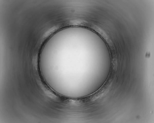 X0000102030442200808011451