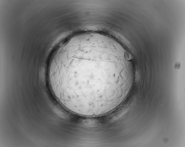 X0000102030444200808011451