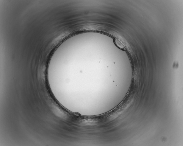 X0000102030445200808011451