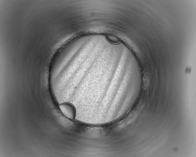 X0000102030446200808011451