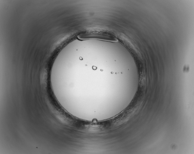 X0000102030448200808011451