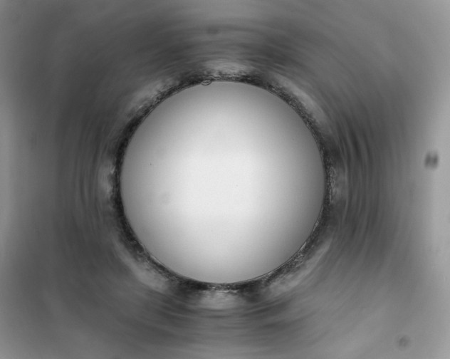 X0000102030451200808011451