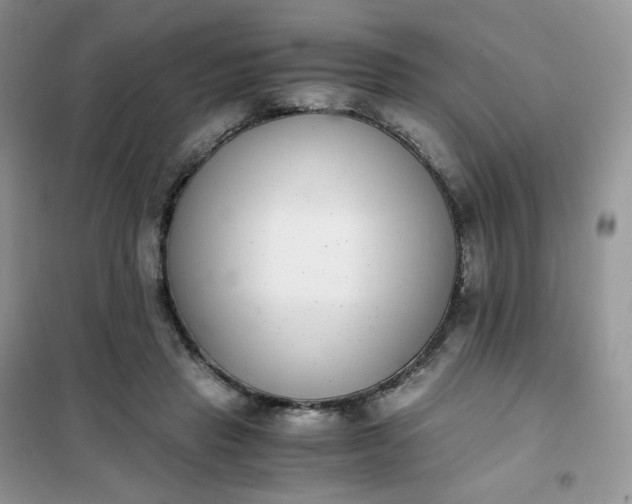 X0000102030453200808011451