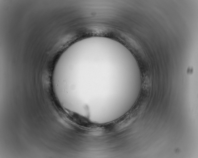 X0000102030456200808011451