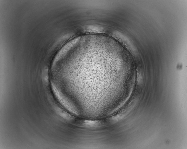 X0000102030457200808011451