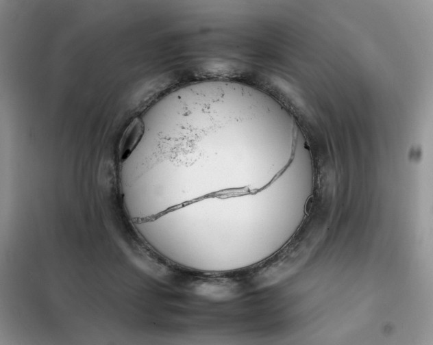 X0000102030459200808011451