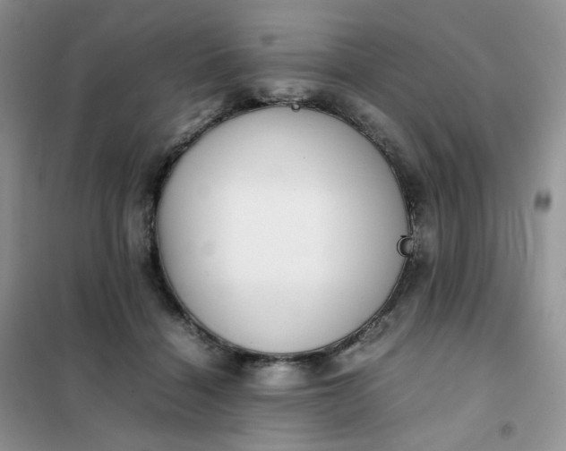 X0000102030460200808011451